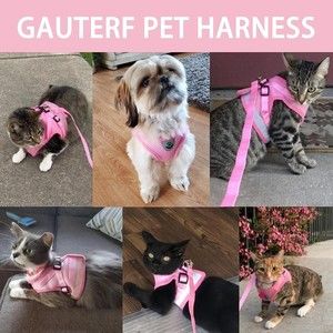 Cat Harnesses and Puppy Harness with Leashes Set, Size XXS on Pink.